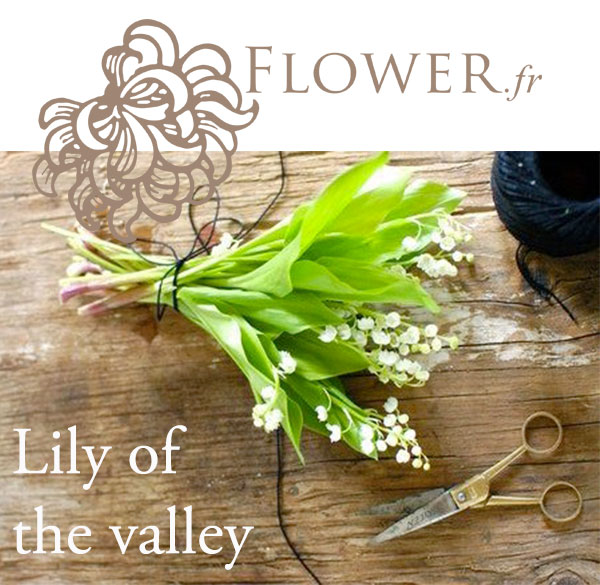 Lily of the valley by FLOWER, your lucky charm